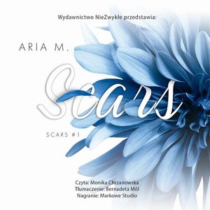 Scars – audiobook