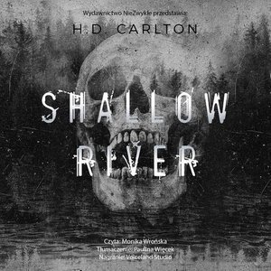 Shallow River – audiobook