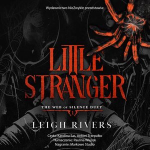 Little Stranger – audiobook