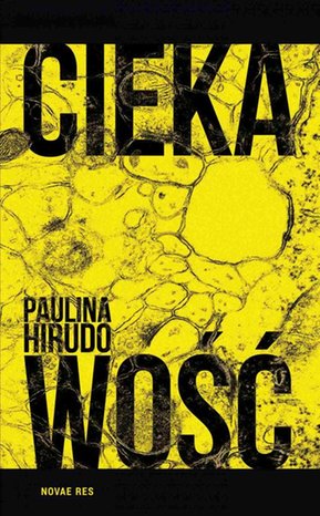 Ciekawość – ebook