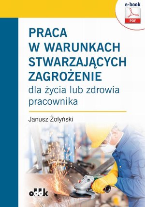 Praca w warunkach stwarzających zagrożenie dla życia lub zdrowia pracownika (e-book) – ebook