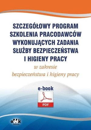 Szczegółowy program szkolenia pracodawców wykonujących zadania służby bezpieczeństwa i higieny pracy w zakresie bezpieczeństwa i higieny pracy (e-book) – ebook
