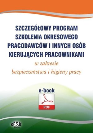 Szczegółowy program szkolenia okresowego pracodawców i innych osób kierujących pracownikami w zakresie bezpieczeństwa i higieny pracy (e-book) – ebook