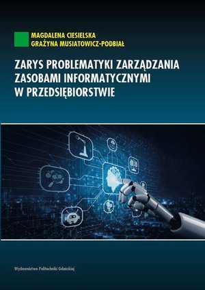 Zarys problematyki zarządzania zasobami informatycznymi w przedsiębiorstwie – ebook