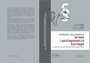 Wybrane zagadnienia prawa i postępowania karnego z perspektywy bezpieczeństwa publicznego – ebook