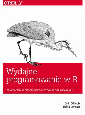 Wydajne programowanie w R: Praktyczny przewodnik po lepszym programowaniu – ebook