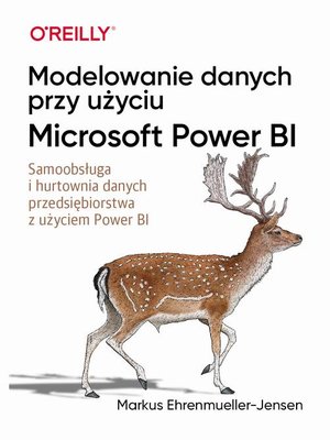 Modelowanie danych przy użyciu Microsoft Power BI – ebook