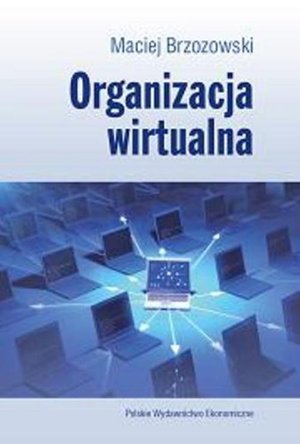 Organizacja wirtualna – ebook