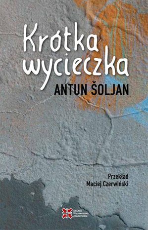 Krótka wycieczka – ebook