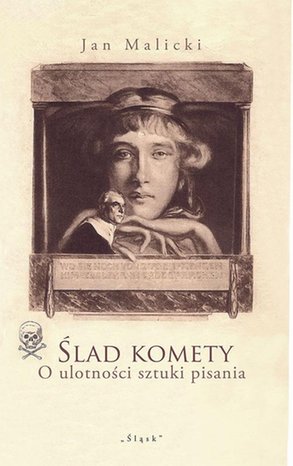 Ślad komety. O ulotności sztuki pisania – ebook