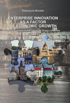 ENTERPRISE INNOVATION AS A FACTOR OF ECONOMIC GROWTH On the example of the Visegrad Group countries – ebook