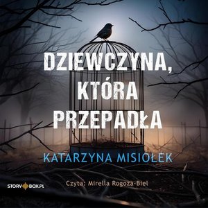 Dziewczyna, która przepadła – audiobook