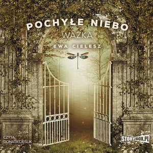 Pochyłe niebo. Tom 3. Ważka – audiobook