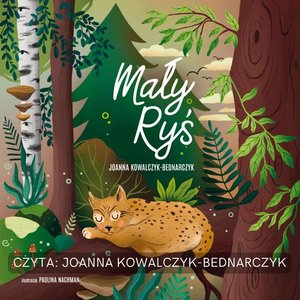 Mały Ryś – audiobook