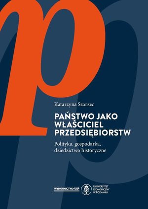 Państwo jako właściciel przedsiębiorstw. Polityka, gospodarka, dziedzictwo historyczne – ebook