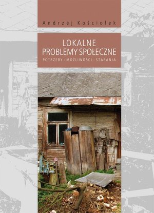 Lokalne problemy społeczne. Potrzeby, możliwości, starania – ebook