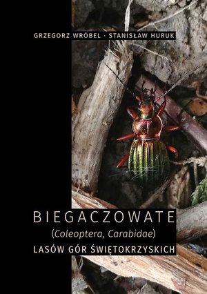 Biegaczowate (Coleoptera, Carabidae) lasów Gór Świętokrzyskich – ebook