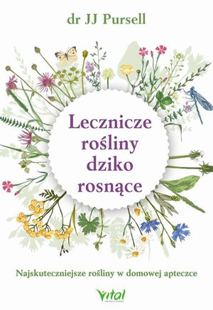 Lecznicze rośliny dziko rosnące. Najskuteczniejsze rośliny w domowej apteczce – ebook
