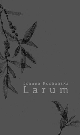 Larum – ebook