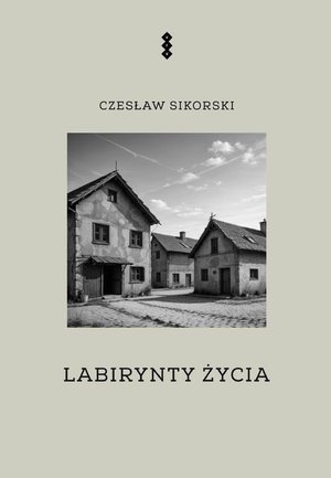 Labirynty życia – ebook