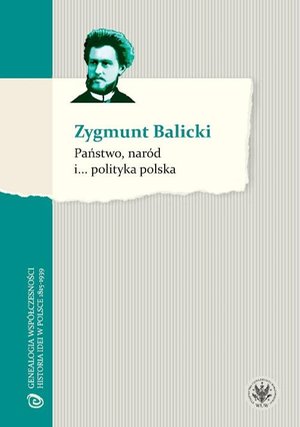 Państwo, naród i... polityka polska – ebook