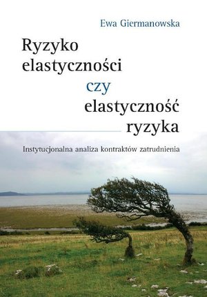 Ryzyko elastyczności czy elastyczność ryzyka: Instytucjonalna analiza kontraktów zatrudnienia – ebook