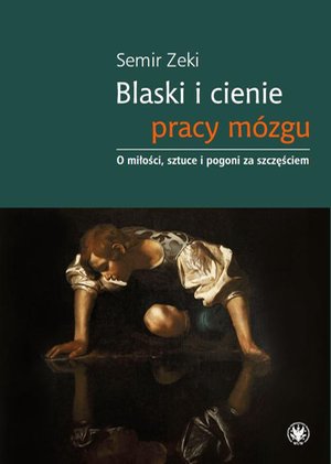 Blaski i cienie pracy mózgu: O miłości, sztuce i pogoni za szczęściem – ebook