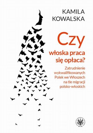 Czy włoska praca się opłaca? Zatrudnienie wykwalifikowanych Polek we Włoszech na tle migracji polsko-włoskich – ebook