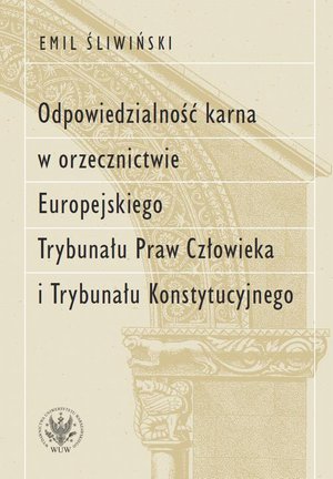 Odpowiedzialność karna w orzecznictwie Europejskiego Trybunału Praw Człowieka i Trybunału Konstytucyjnego – ebook