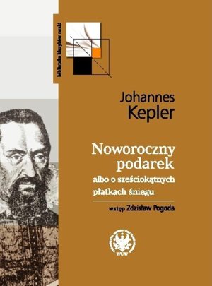 Noworoczny podarek albo o sześciokątnych płatkach śniegu – ebook