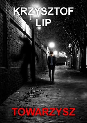 Towarzysz – ebook