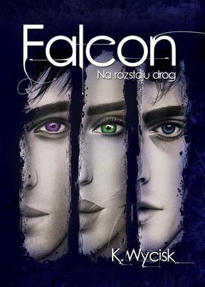 Falcon Na rozstaju dróg Tom 2 – ebook