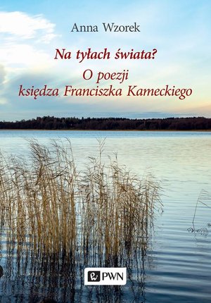Na tyłach świata? O poezji księdza Franciszka Kameckiego – ebook