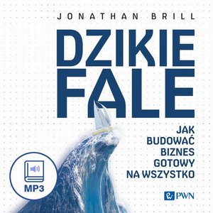 Ekonomia: Dzikie fale: Jak budować biznes gotowy na wszystko – audiobook