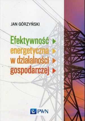 Efektywność energetyczna w działalności gospodarczej – ebook