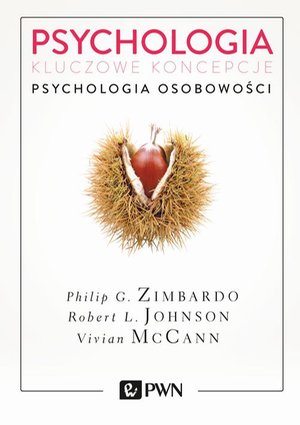 Psychologia. Kluczowe koncepcje. Tom 4: Psychologia osobowości – ebook