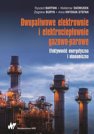 Dwupaliwowe elektrownie i elektrociepłownie gazowo-parowe: Efektywność energetyczna i ekonomiczna – ebook
