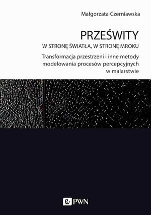 Prześwity. W stronę światła, w stronę mroku: Transformacja przestrzeni i inne metody modelowania procesów percepcyjnych w malarstwie – ebook