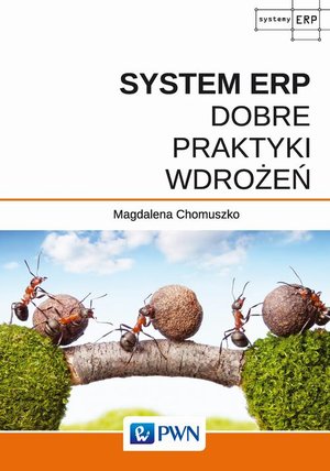 System ERP - Dobre praktyki wdrożeń – ebook