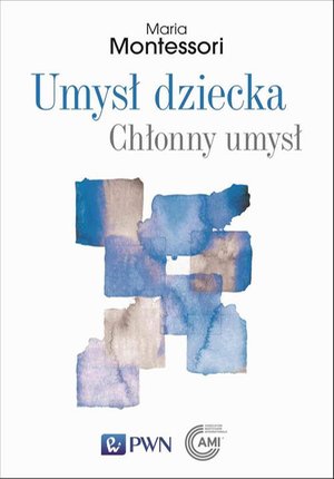 Umysł dziecka Chłonny umysł – ebook