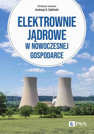 Elektrownie jądrowe w nowoczesnej gospodarce: Technologie, ekonomika, bezpieczeństwo – ebook