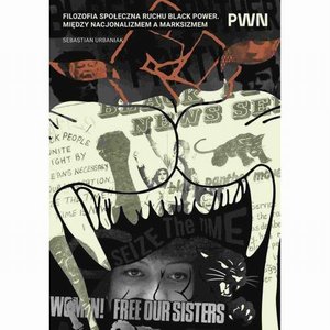 Filozofia: Filozofia społeczna ruchu Black Power. Między nacjonalizmem a marksizmem – ebook