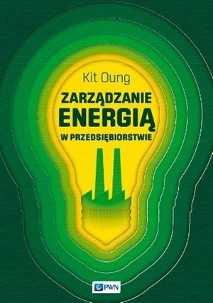 Zarządzanie energią w przedsiębiorstwie – ebook