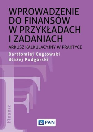 Wprowadzenie do finansów w przykładach i zadaniach: Arkusz kalkulacyjny w praktyce – ebook