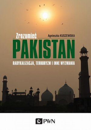 Zrozumieć Pakistan: Radykalizacja, terroryzm i inne wyzwania – ebook