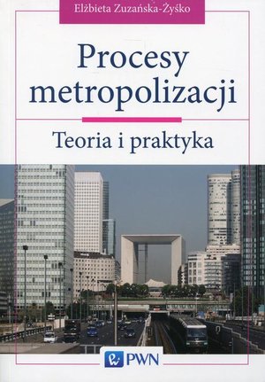 Procesy metropolizacji: Teoria i praktyka – ebook