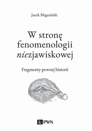 W stronę fenomenologii niezjawiskowej. Fragmenty pewnej historii – ebook