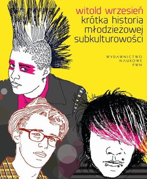 Krótka historia młodzieżowej subkulturowości – ebook