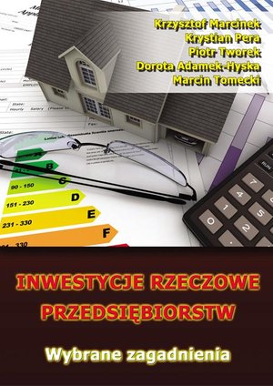 Inwestycje rzeczowe przedsiębiorstw. Wybrane zagadnienia – ebook