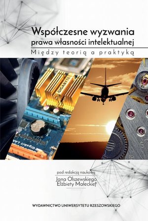 Współczesne wyzwania prawa własności intelektualnej: Między teorią a praktyką – ebook